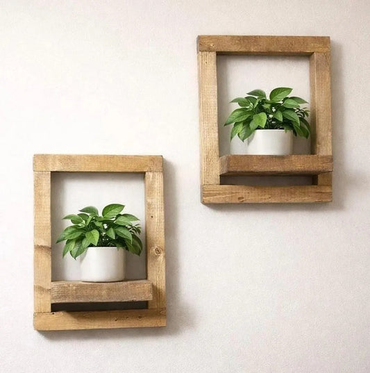 Wall Plant Holder